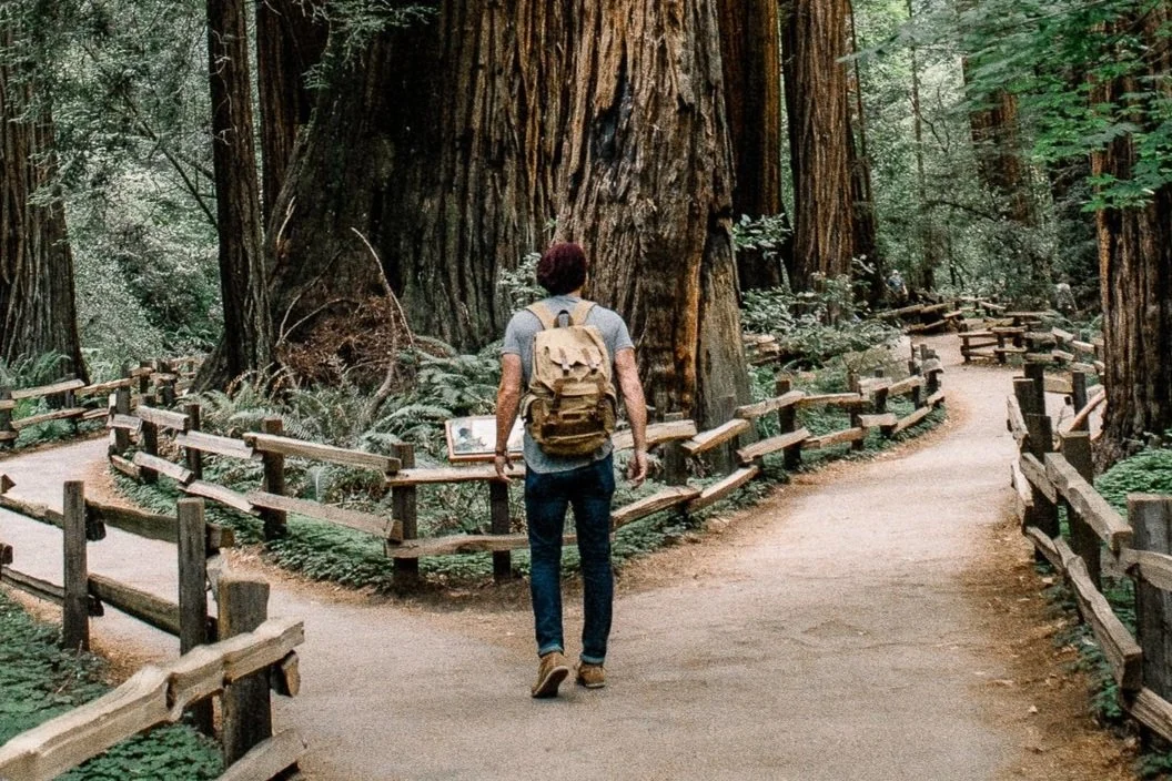 Sex Addiction Recovery Program